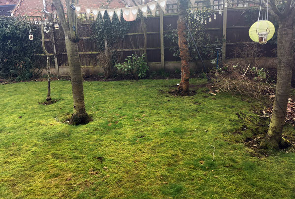 First Cut Garden Maintenance Services