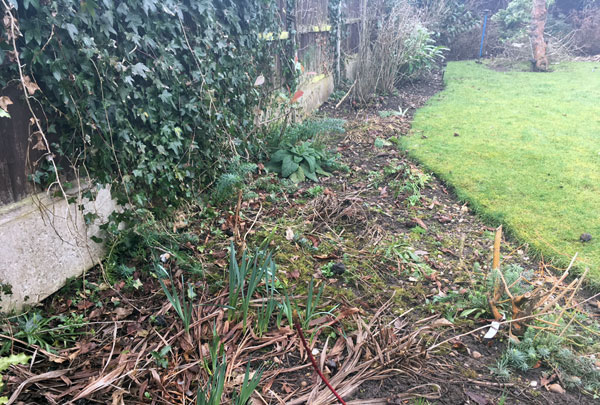 First Cut Garden Maintenance Services