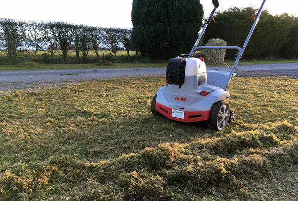 First Cut Garden Maintenance Services