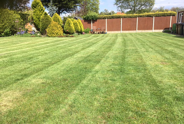 First Cut Garden Maintenance Services