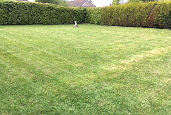 First Cut Garden Maintenance Services