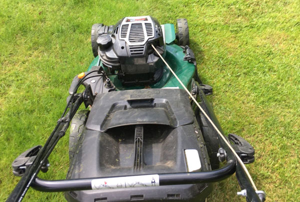 First Cut Garden Maintenance Services