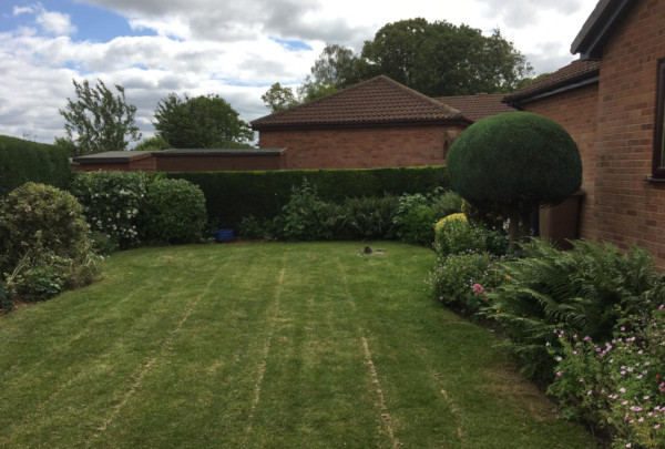 First Cut Garden Maintenance Services