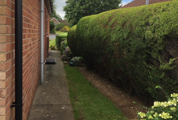 First Cut Garden Maintenance Services