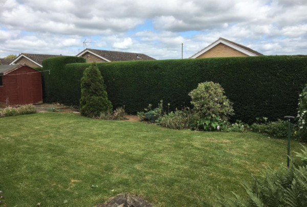 First Cut Garden Maintenance Services